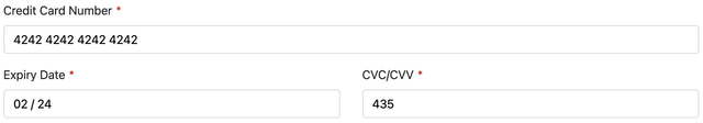 Stripe Payment field Layout Options