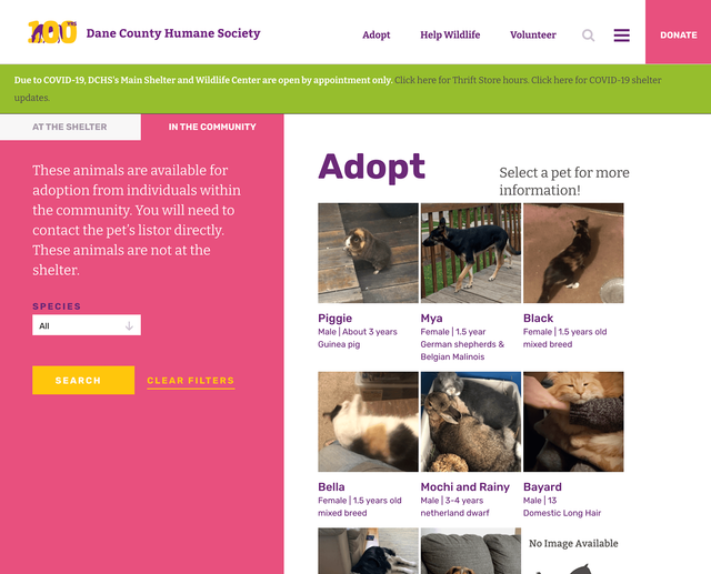 Dane County Humane Society submissions